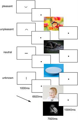 SSRI Treatment Response Prediction in Depression Based on Brain Activation by Emotional Stimuli